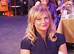 amy poehler