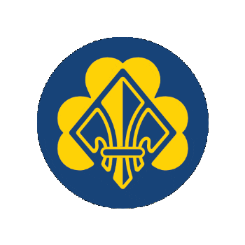 Scout Scouting Sticker by Bund der Pfadfinderinnen und Pfadfinder e.V. (BdP)