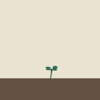 Plants Grow GIF by KWS