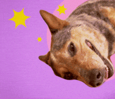 Feel Better Thinking Of You GIF by GIPHY Studios Originals
