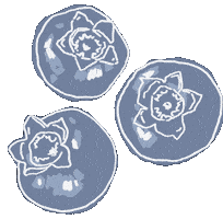 Fruit Blueberry Sticker