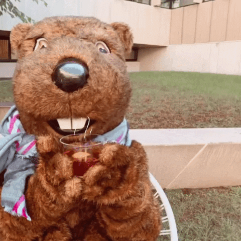 GIF by Welcome to the BVR Dam