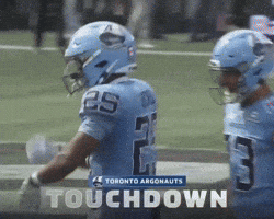 Celebration GIF