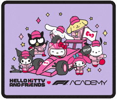 Racing F1 GIF by Hello Kitty
