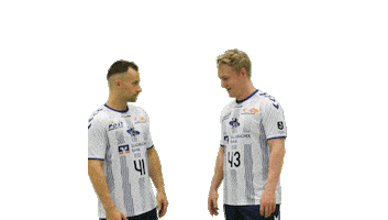 Sport Handball Sticker by TV Korschenbroich