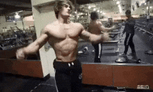 Jeff Jeffseid GIF