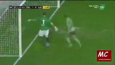 goalkeeper