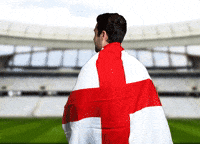 England-national-football-team GIFs - Get the best GIF on GIPHY