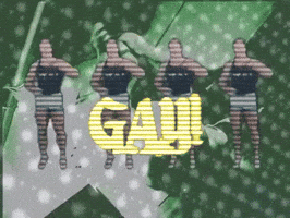 gay GIF