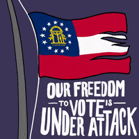 Voting Rights Flag GIF by Creative Courage