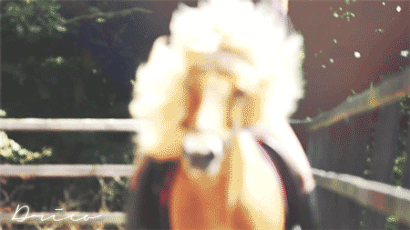 Flowing Hair GIFs - Get the best GIF on GIPHY