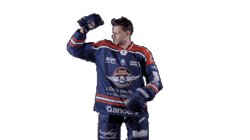 Lucien Sticker by Les Ducs d'Angers