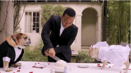 https://media0.giphy.com/media/6UNPHSIRYkopi/giphy.gif