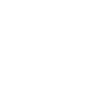 American Social Sticker