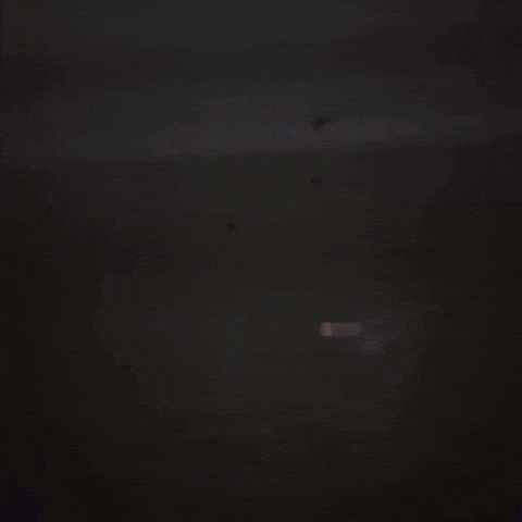 Cook Fridge GIF