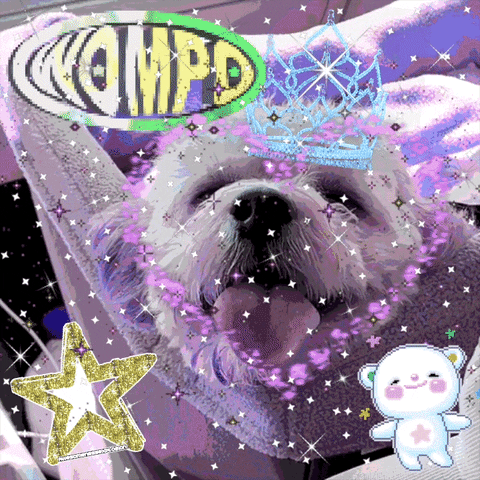 WOMPO GIF