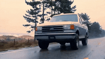 Blacksheep GIF by Alana Springsteen