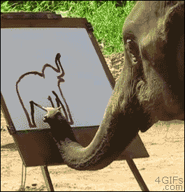 giphy.gif