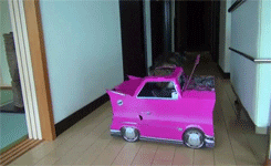 Video gif. Housecat fiddles with a hot pink car-shaped cardboard box in a hallway.