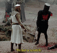 Monty-python-flesh-wound GIFs - Find & Share on GIPHY