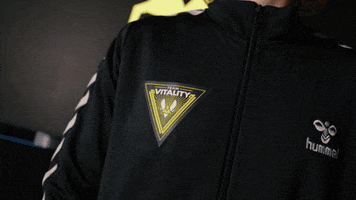 League Of Legends Esports GIF by Team Vitality