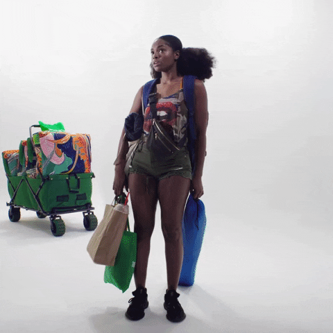 Parktings GIF
