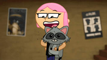 Raccoon GIF