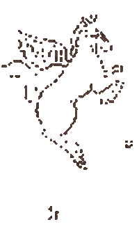 Horse Sticker