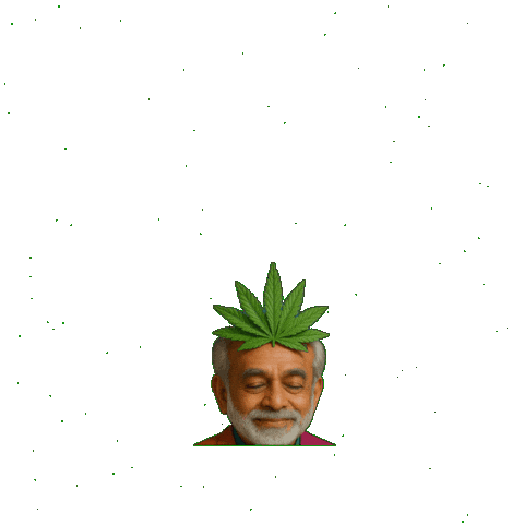 Old Men Weed Sticker