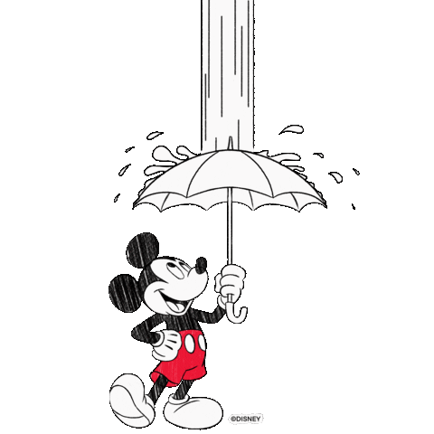 Disney Rain Sticker by Hunter