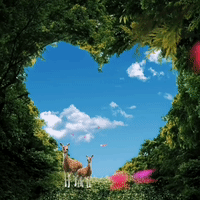 you are beautiful and i love you gif