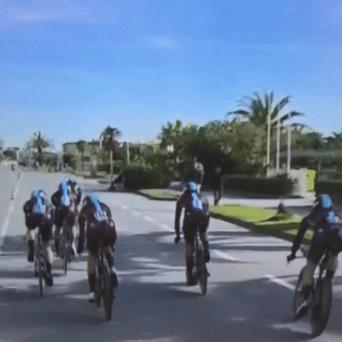 joncannings  GIF