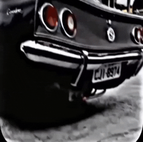 Opala GIF