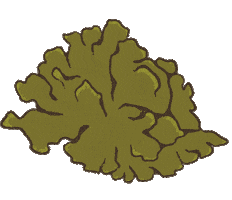 Forest Sticker