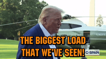 News GIF