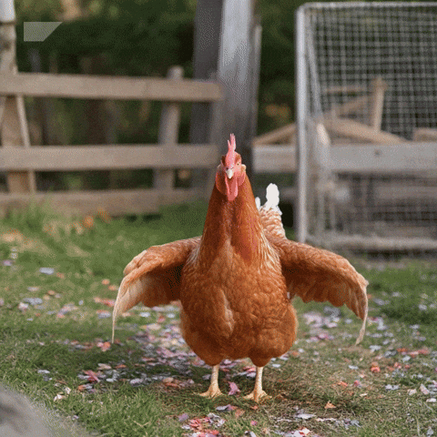 Happy Fun GIF by SAP