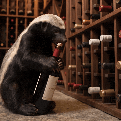 Honey Badger GIF by Smart Operator