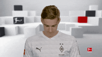 Line Up Smile GIF by Bundesliga