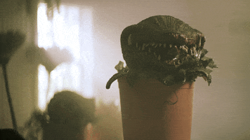 BRAVEMAN Media GIF