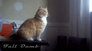 faq giphy capture watermark faq giphy capture watermark