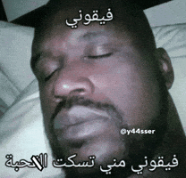 Morocco Algeria GIF