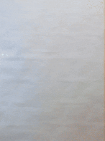 GIF by Juist