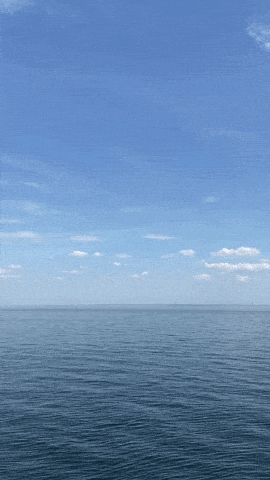 النفسيه محتاجه