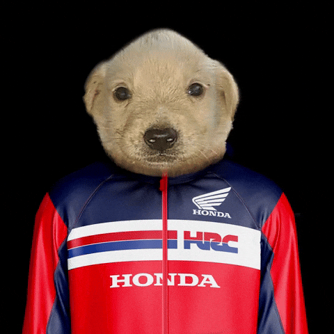 Honda Motos Perú Oficial GIF