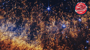 Glowing James Webb GIF by ESA Webb Space Telescope