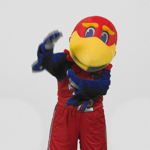 Hold Up Stop GIF by University of Kansas