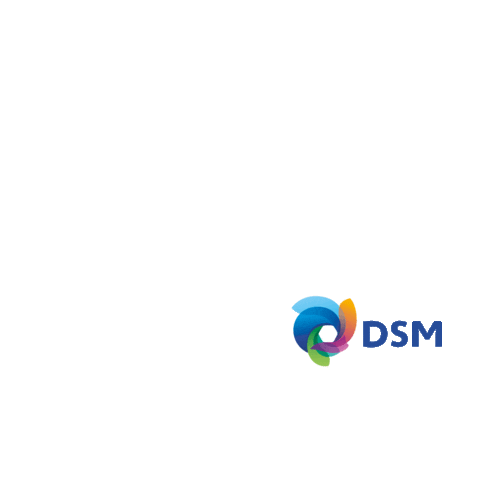 DSM Latam Sticker