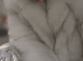 Fur GIF