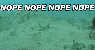 Video gif. Octopus runs with its tentacles on the bottom of the sea floor as if fleeing away . Text, “Nope, nope, nope, nope.”
