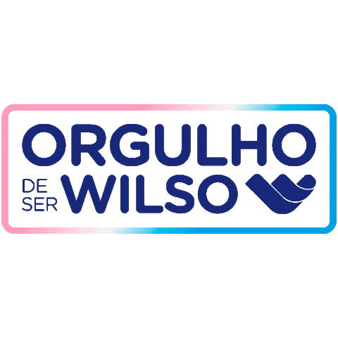 Wilsoatacado Sticker by Wilso Distribuidor